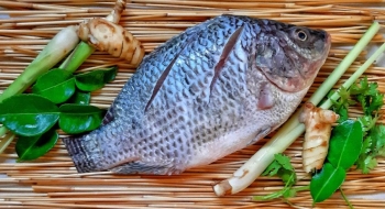 Semana Santa: Agrodefesa orienta consumidores sobre a compra de pescados